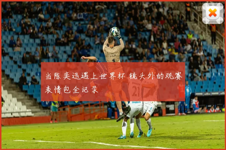 当陈奕迅遇上世界杯 镜头外的观赛表情包全记录