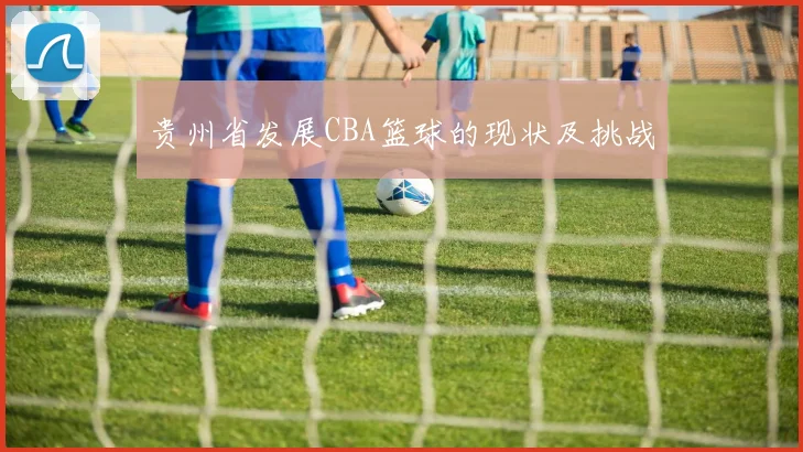 贵州省发展CBA篮球的现状及挑战